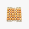 vvf-egg-tray