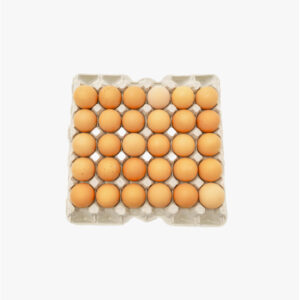 vvf-egg-tray